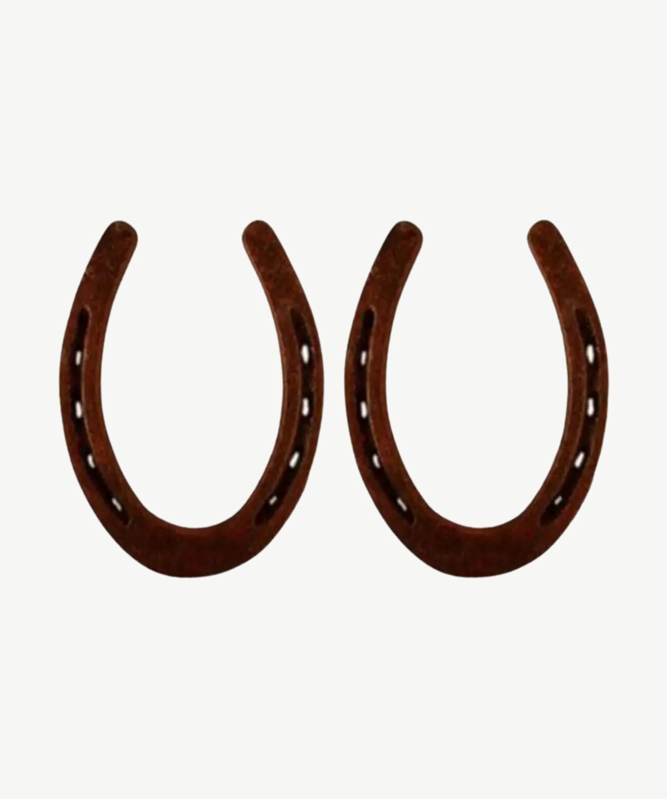 Kale Ghode Ki Naal Ka Pair (Black Horse Shoe)